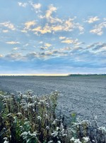 Траса Київ-Чернігів (пгт. Великая Димерка, Броварской район) - Продається коммерційна ділянка, 150000 $ - АФНУ